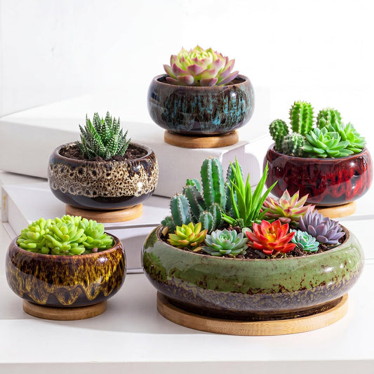 Acellegic 5 Pcs 7.3'' and 4'' Round Large Shallow Succulent Ceramic Planter Pots with Drainage Hole Drip Glazed Shallow Bonsai Pot with Bamboo Tray for Indoor Outdoor Plants Decor Cactus Flower