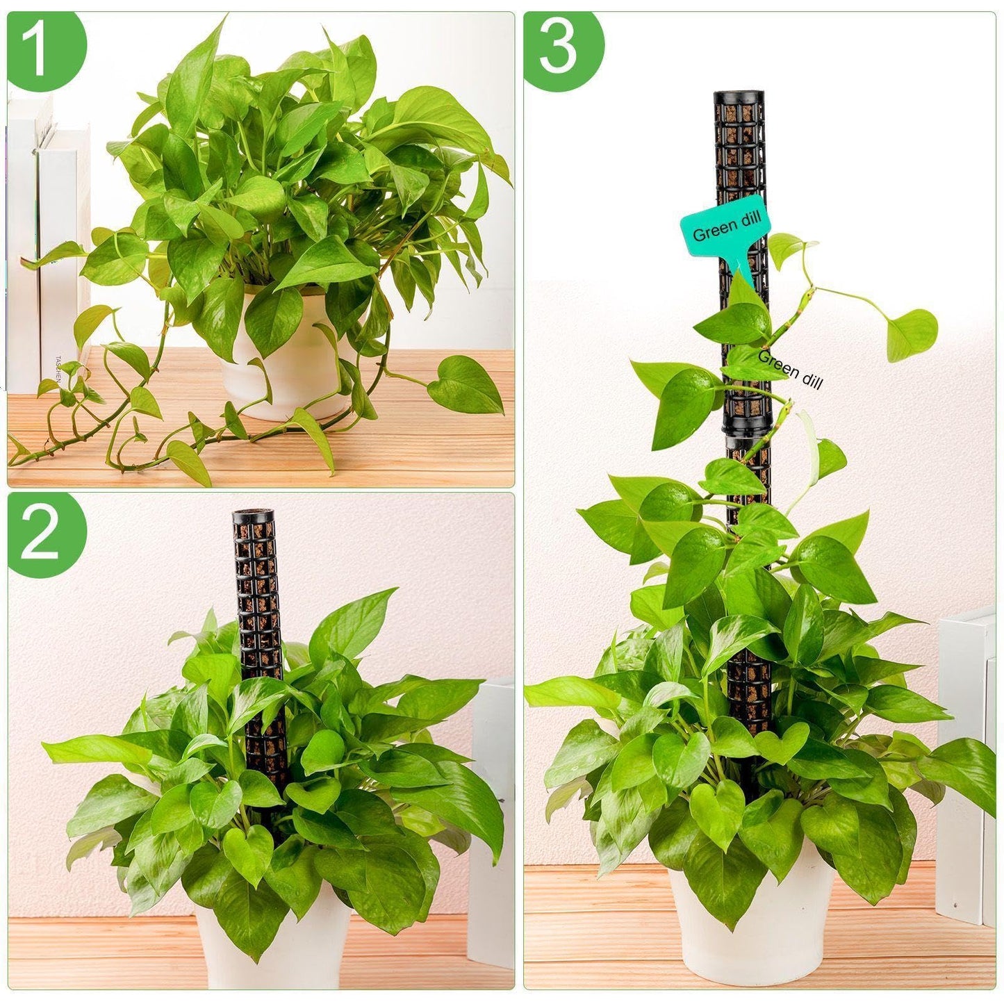 10 Set Plastic Moss Poles for Climbing Plants Indoor Stackable Self Watering Hollow Monstera Plant Support, Moss Not Included(Black)