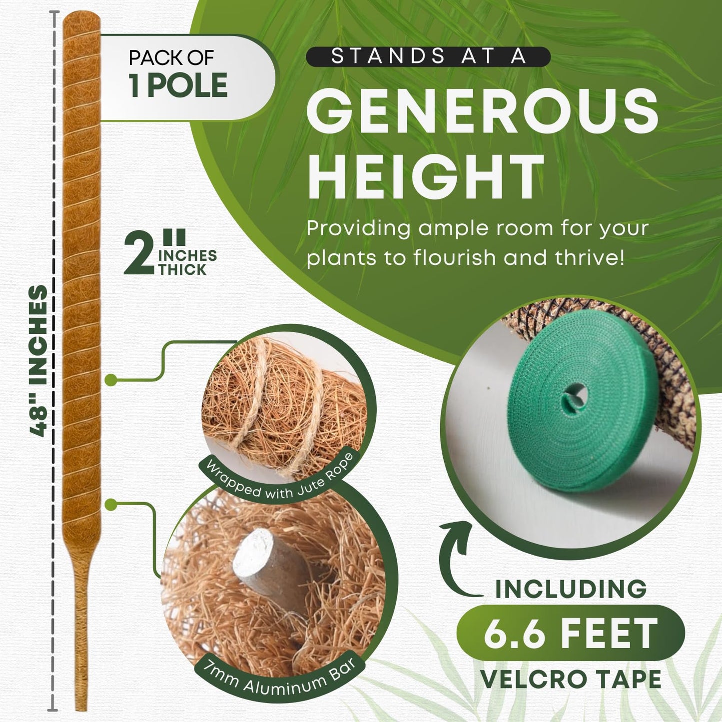 Auraville Moss Pole Monstera Plant Support | 60 Inch Plant Stakes for Indoor Plants | Coconut Palm Fiber Moss Poles for Climbing Plants | Handmade Plant Sticks Support Tall Monstera, Pothos & More