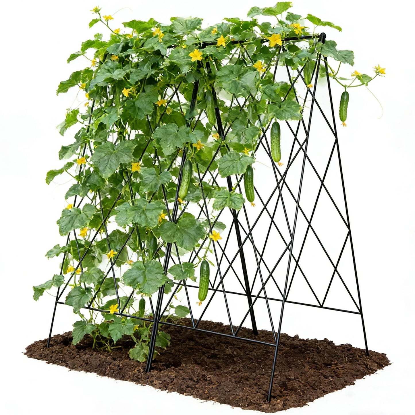 UrGROWA Cucumber Trellis 2 Pack, Foldable A-Frame Garden Trellis for Raised Bed Garden Grow Support with Plant Support Clips, Twist Ties, Plastic Ties, for Cucumber,Tomato, Climbing Plants and Flowers