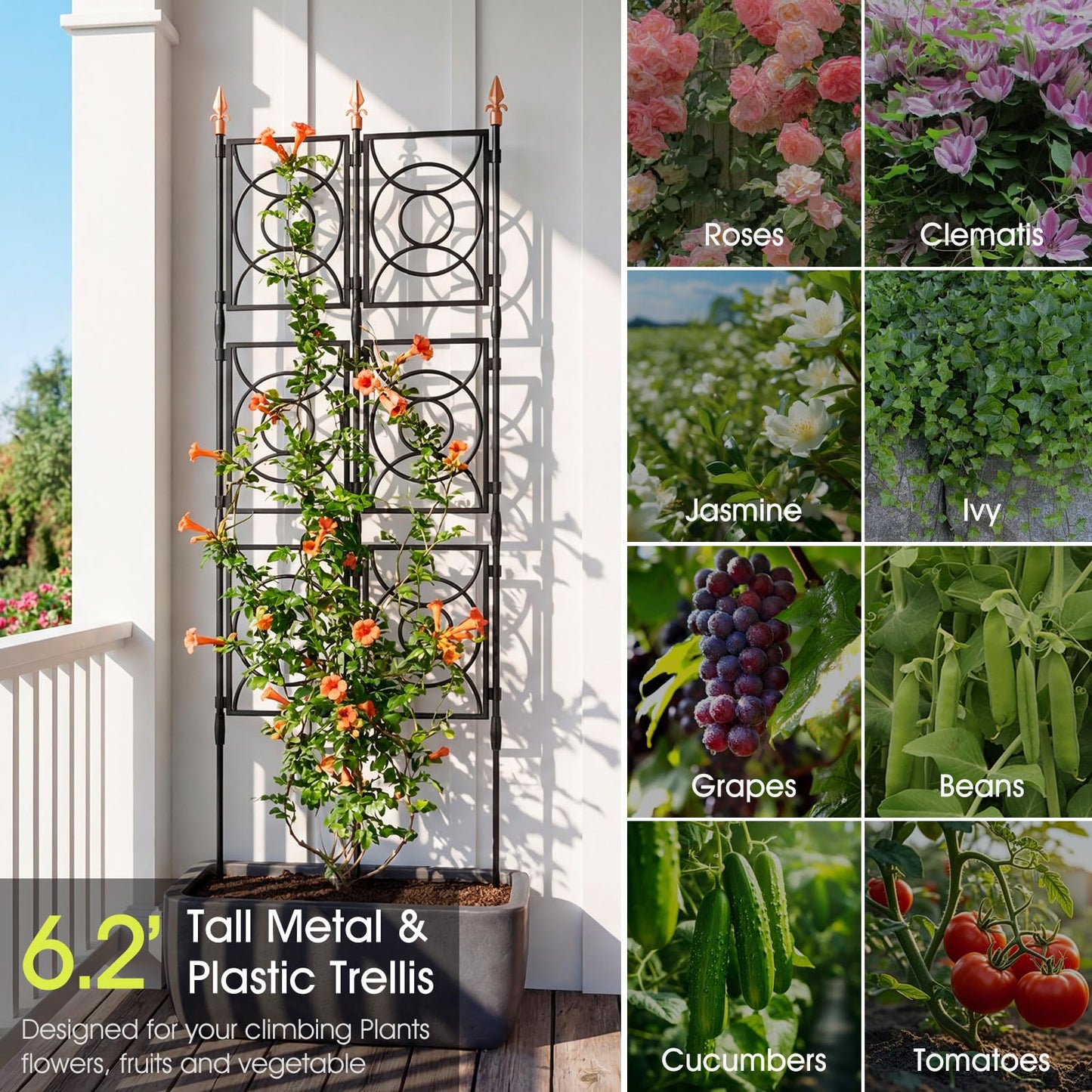 Trellis for Climbing Plants Indoor Outdoor, 24 Rifny Tall Garden Trellis Flower Rose Cucumber Trellis for Vines Pea Support, Wall Large Plant Trellis Fence with Plastic Plastic Screen Frame, 6.2 FT