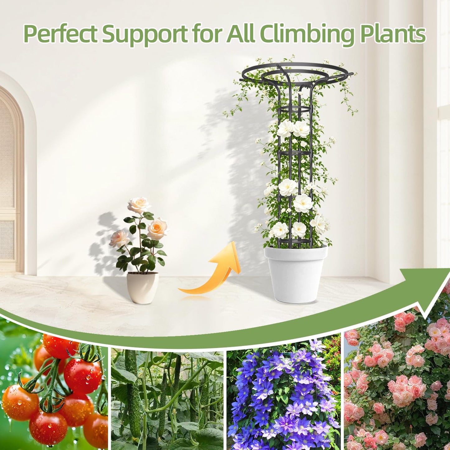 Garden Trellis for Climbing Plants Outdoor,70.9 Inch Mushroom Top Trellis, Height Adjustable Thick Twisted PE-Coated Metal Pipe,Plant Support for Potted Plants Vine Rose Clematis Vegetables
