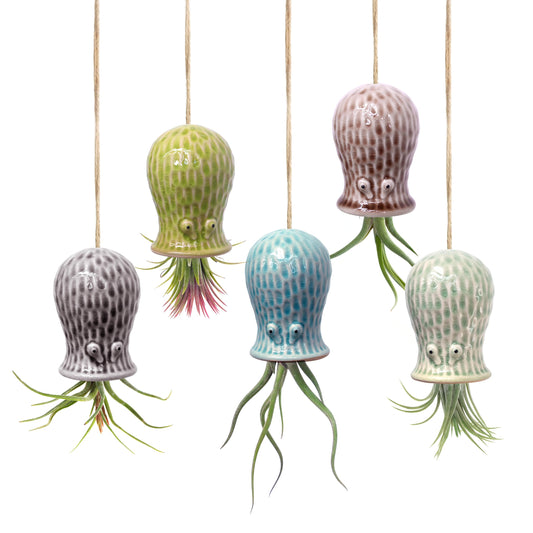 GNILINY Octopus Air Plant Holder - 5 Pack Resin Hanging Stand for Home Decor, Cute Hanger for Air Plants/Succulent, Octopus Decor for Living Room/Office