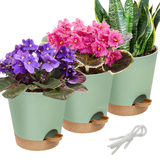Aulock 6in Self Watering Pots for Indoor Plants - 3pcs Bottom Watering African Violet Planters with Drainage, Plastic Houseplant Flower Pots for Snake Plant Succulent Garden Live Plants