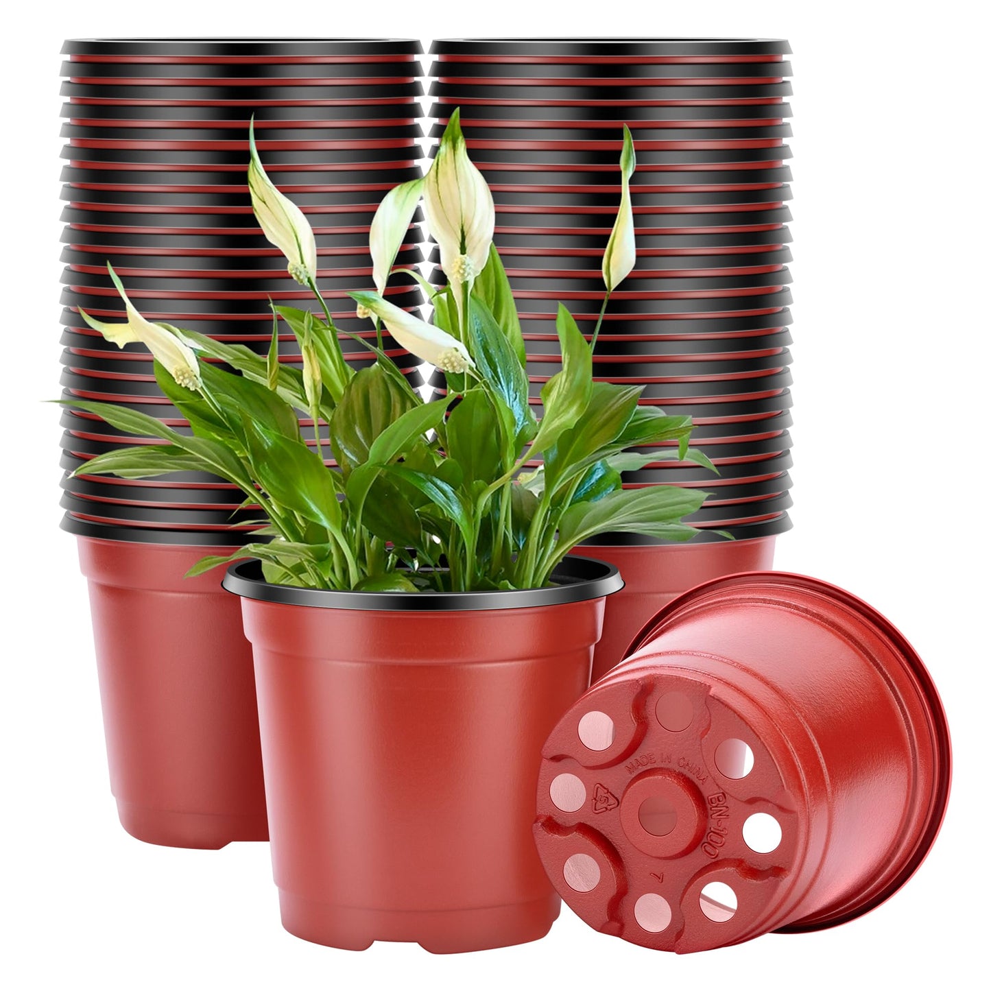 VIVOSUN 50 Pcs 6 Inch Plastic Plant Nursery Pots, Seed Starting Pot, Flower Plant Container for Seedlings, Cuttings, Transplanting