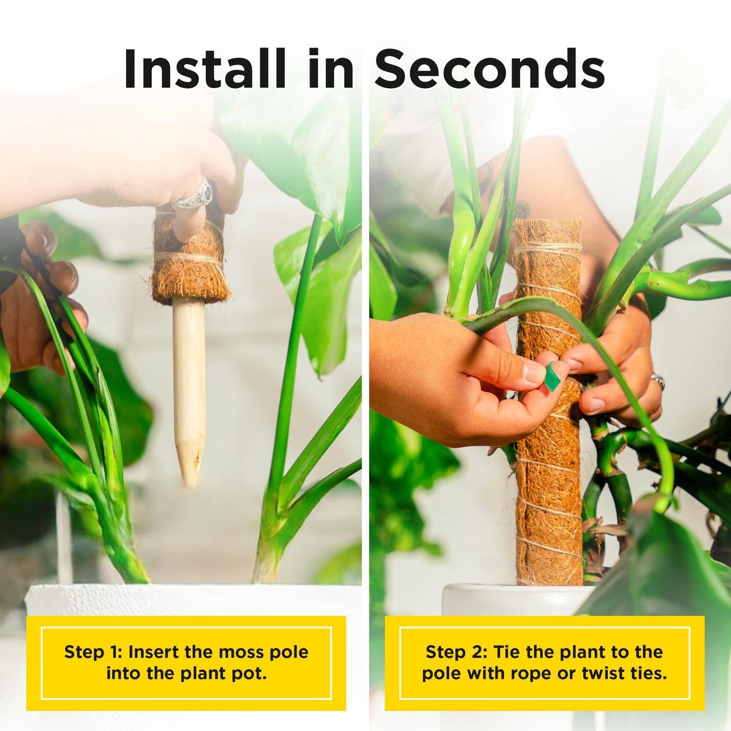 Casita Coco Coir Plant Moss Pole - Indoor Plant Support, Climbing Poles - 3.81x3.81x15.9 inches, 4 Pieces