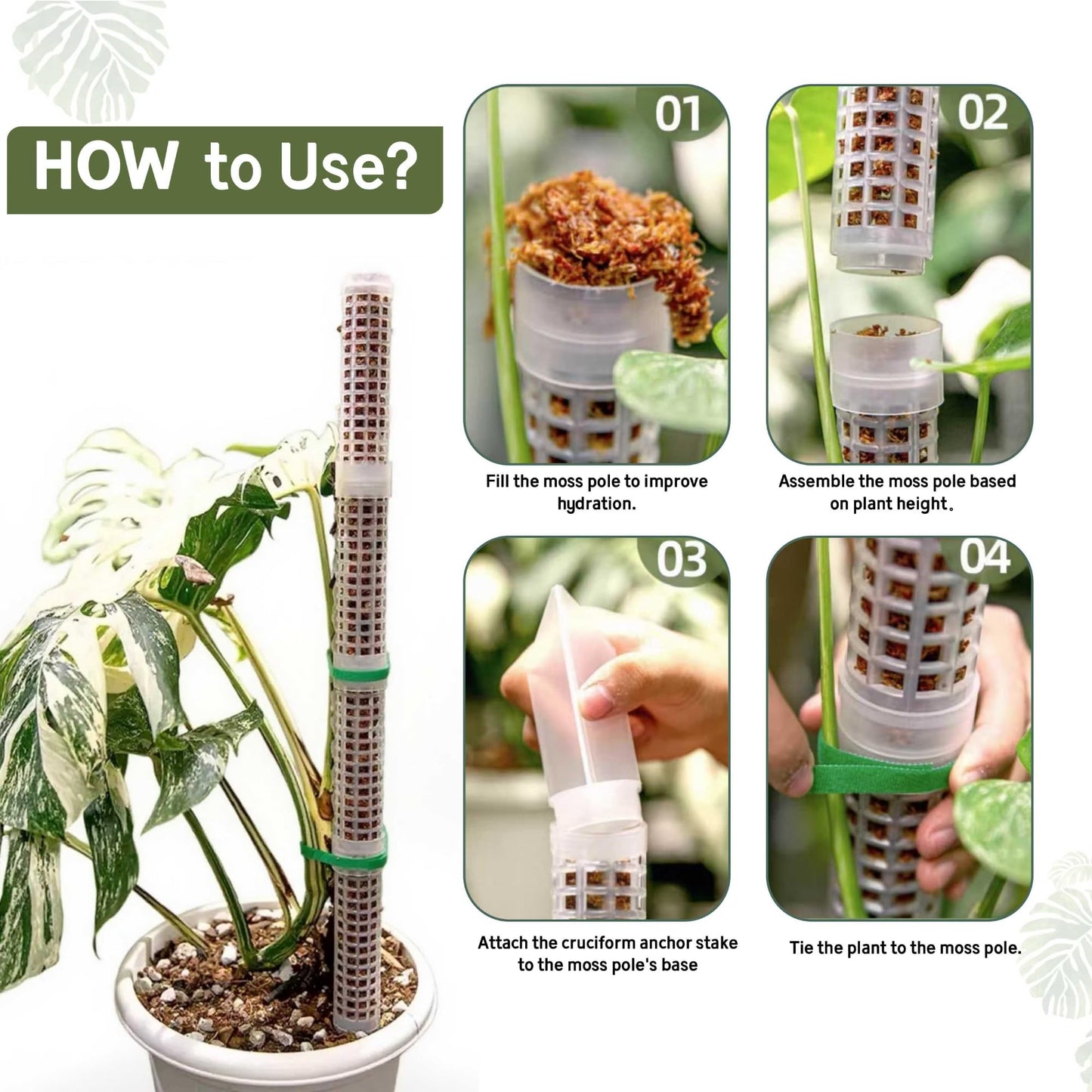 Sturdy Moss Poles for Climbing Plants - Extendable & Adjustable Small Moss Pole Monstera Plant Support Ideal for Indoor and Climbing Plants & More, Extendable Length 11.1'' to 31.2'', Set of 5