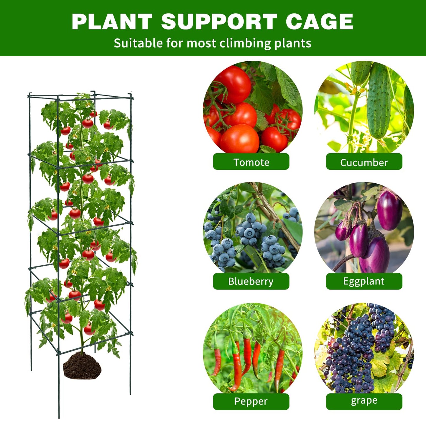 LAKNUAL 6 Packs Tomato Cages for Garden, 12"×12"×48" Plant Support Cage with Different Spacing, Green Metal Trellis for Climbing Plants Like Cucumber, Flowers