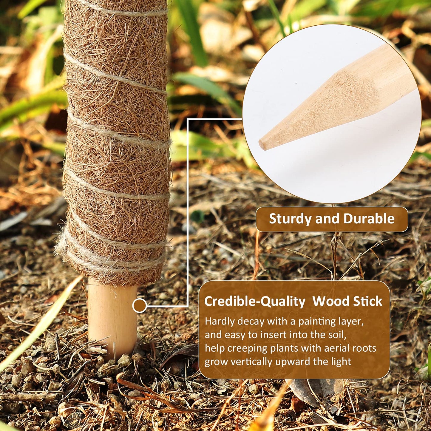 DACHUI 24 Inches Moss Poles for Climbing Plants, 2 Pcs Coco Coir Totem Pole-Support Indoor Plants to Grow Upwards
