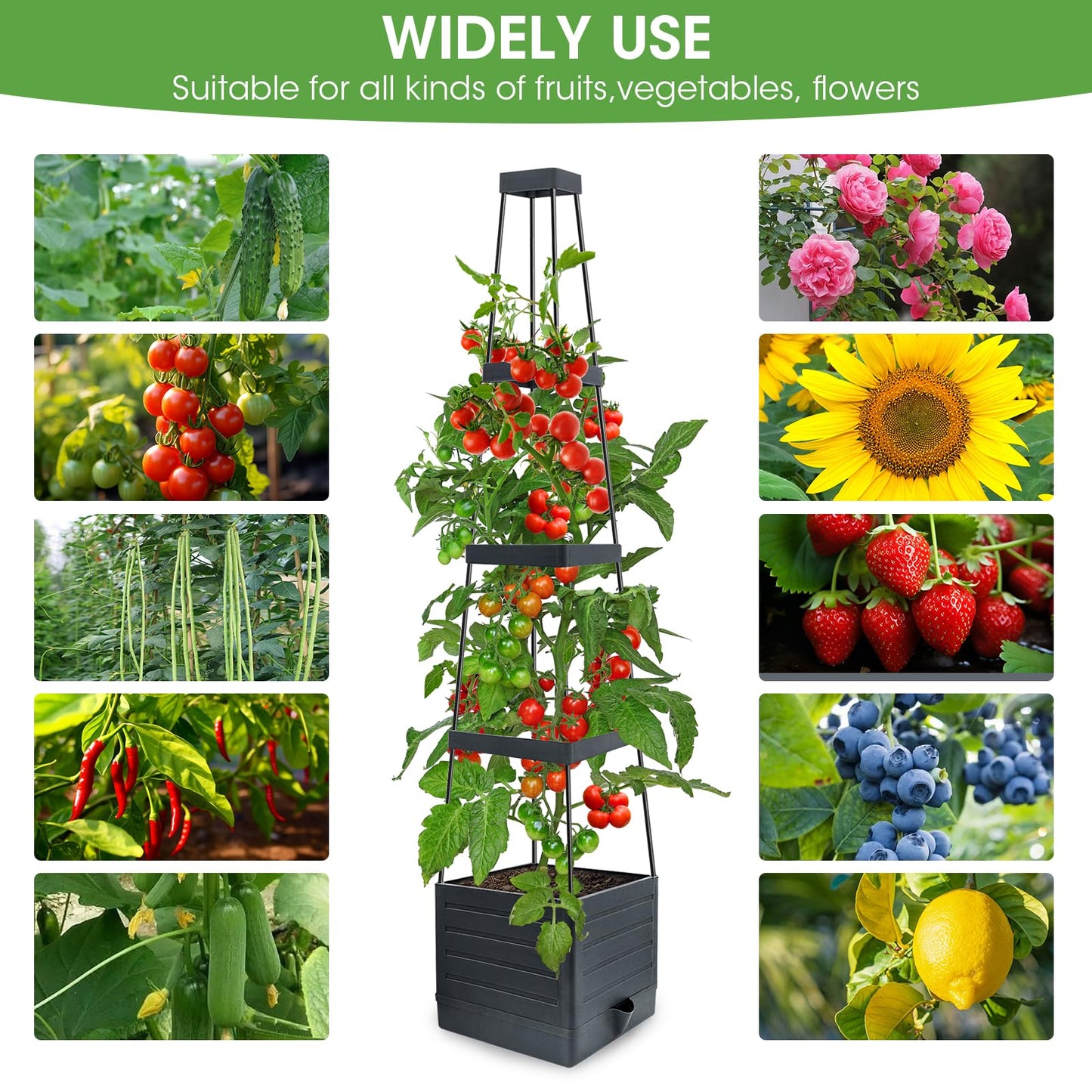 MYMULIKE Raised Garden Bed Tomato Planter with Trellis, 58" Tomato Cage for Climbing Vegetables Plant, Self Watering Pots for Indoor Plants Garden Pots Patio Greenhouse Indoor Outdoor