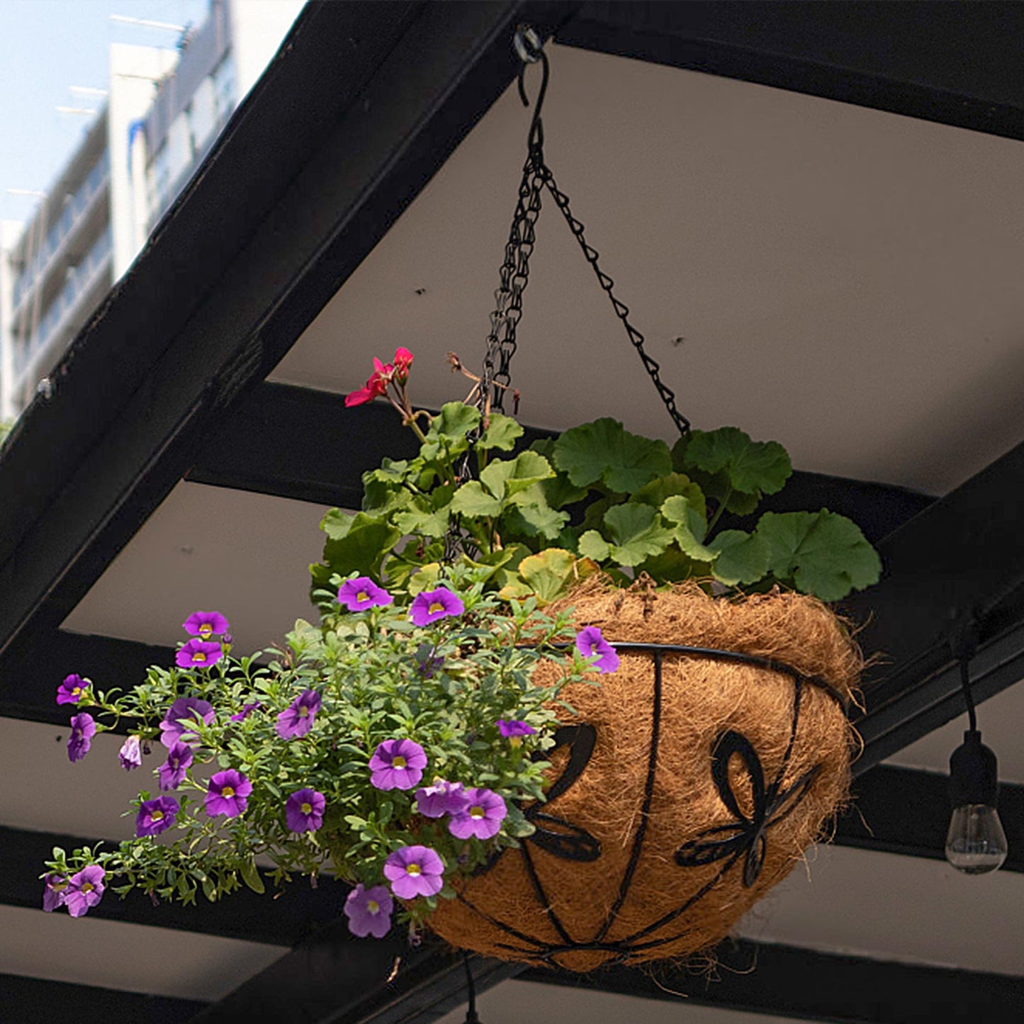ARVINKEY Hanging Baskets Planter for Plants, 2 Pack 10 Inch Round Metal Wire Hanging Flower Pots with Coco Coir Liner Chain, Plant Holder for Home Garden Balcony Decor