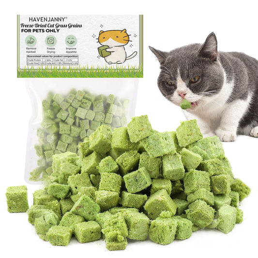 HavenJanny 60g Cat Grass Treats for Indoor Cats, Freezed Dried Cat Grass Teething Stick Snacks for Cats, Edible Feline Chew Toys for Hairball Control and Oral Health