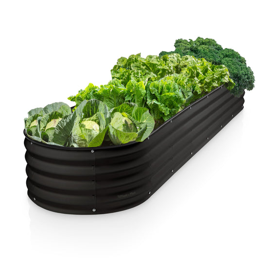 Plant & Plot Galvanized Raised Garden Beds Outdoor // 8×2×1 ft Planter Raised Beds for Gardening, Vegetables, Flowers // Large Metal Garden Box (Black) // Patented Tool-Free Design