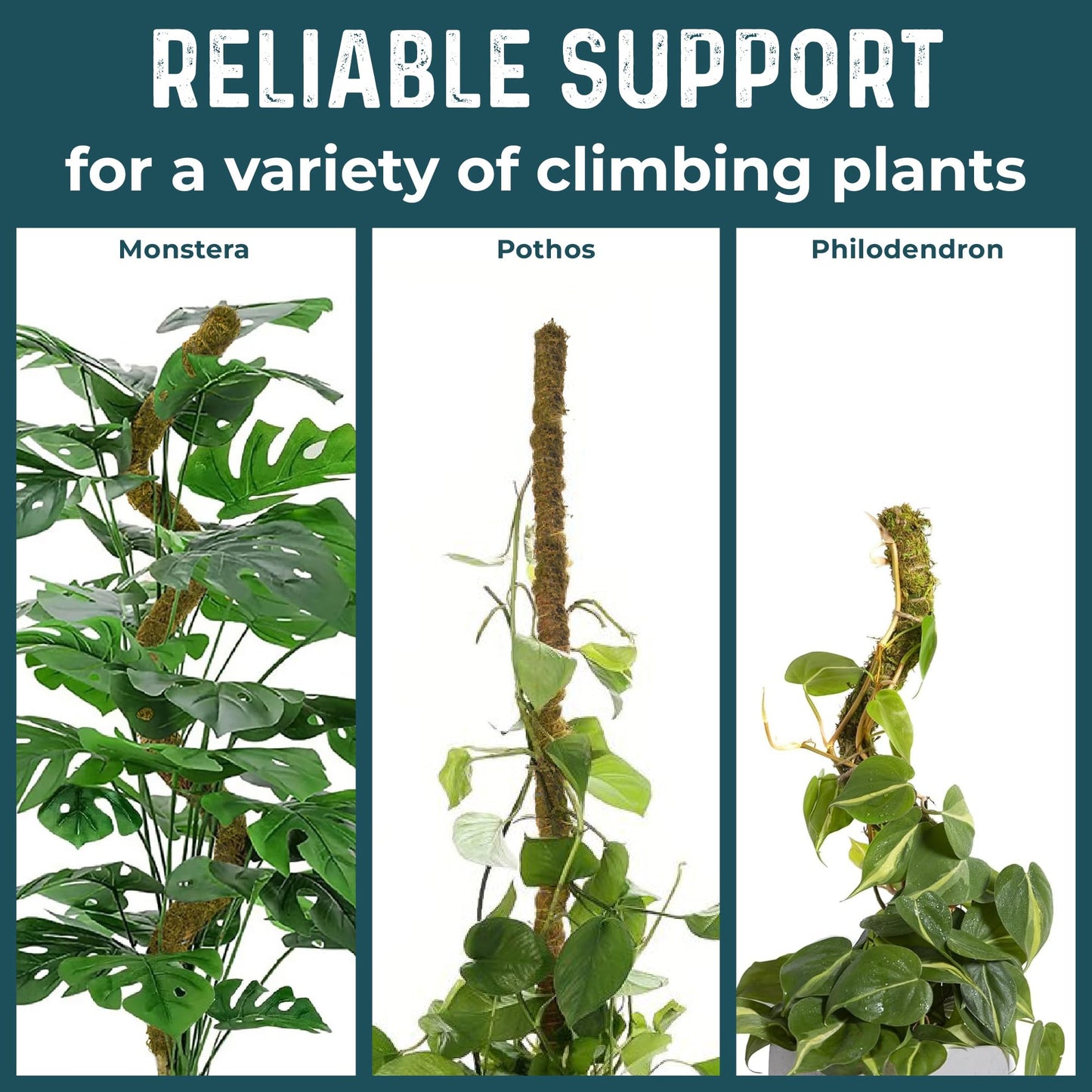 K-Brands 4 Pack Forest Moss Coco Coir Bundle - 2 x 42'' + 2 x 63'' Monstera Plant Support - Moss Poles for Climbing Plants Monstera - Plant Pole Plant Sticks Support