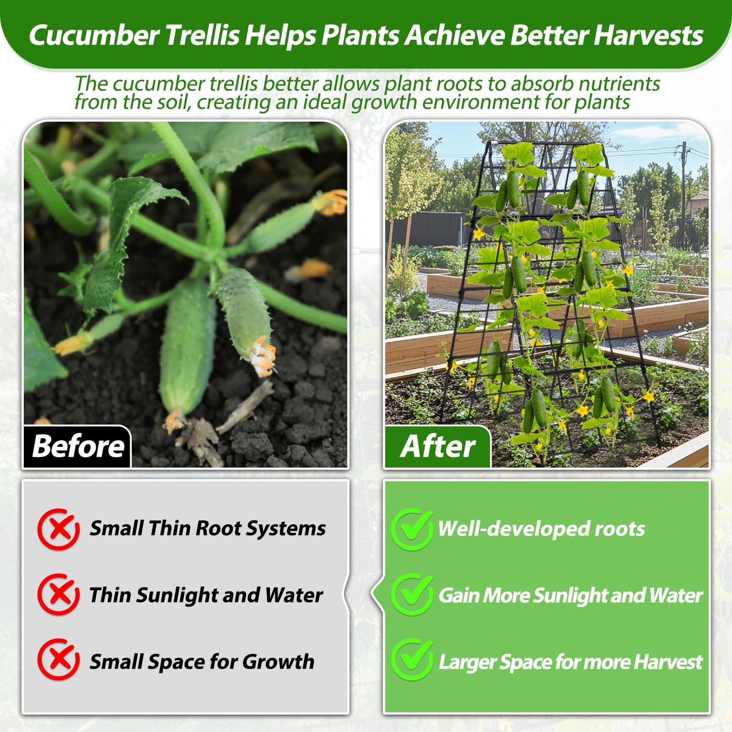 2 Packs Cucumber Trellis for Raised Bed 42 x 16 A Frame Metal Adjustable Garden Trellis for Climbing Plants Outdoor, Foldable Coated Steel Easy Install Cucumber Trellis for Vegetable Fruit Flower