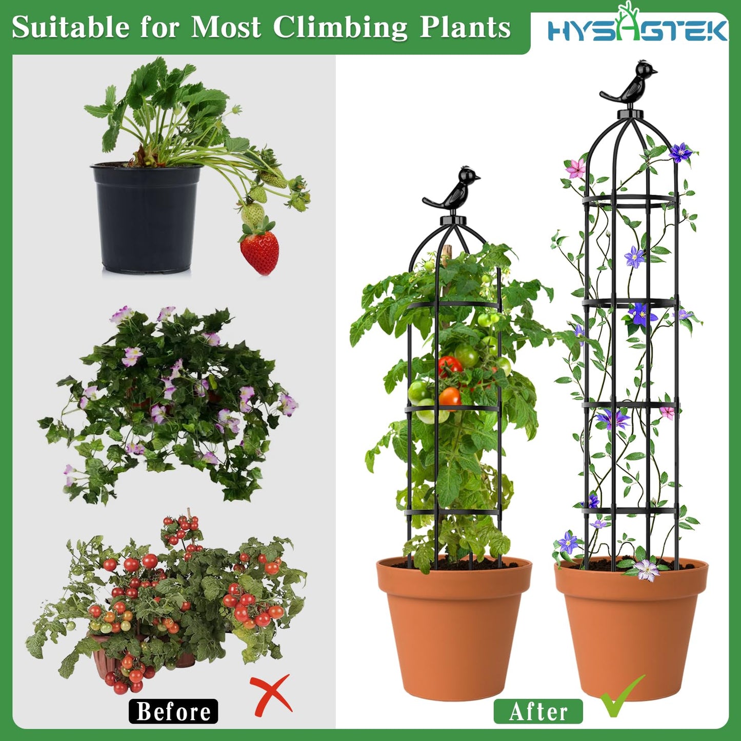 Hysagtek 2 Pack Garden Obelisk Trellis for Climbing Plants, Garden Outdoor Indoor Potted Plant Support, Removable Obelisk Trellis with 20 Plant Clips