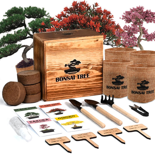 Sproutix Bonsai Garden Starter Kit, 4 Seeds Growing into Sakura, Ginkgo, Black Pine, Red Flame, Including Complete Gardening Tools & A Planter Box with Cover for Men Women Beginners