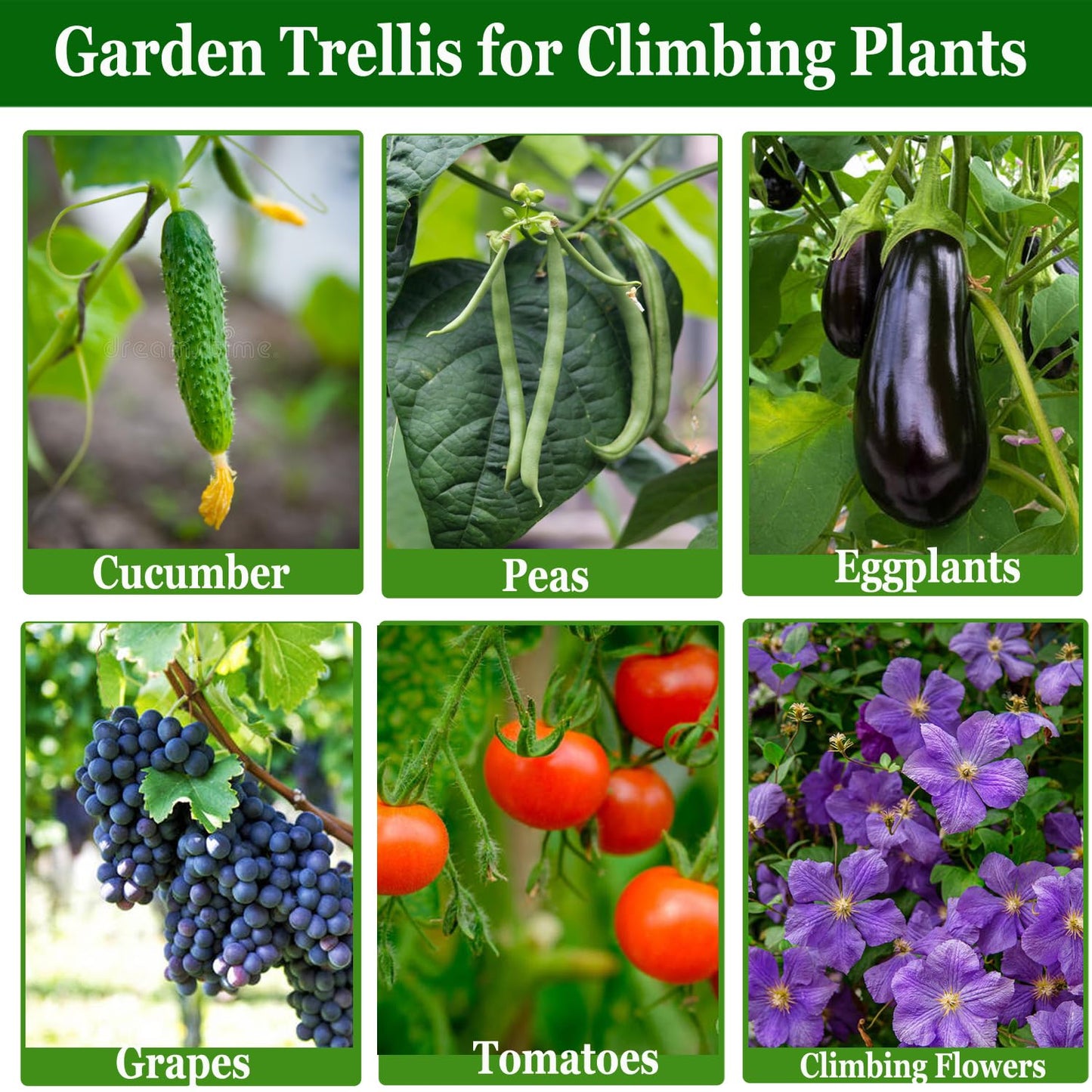 Garden Arch Trellis for Climbing Plants Outdoor, Lightweight Metal+PE Coated Garden Arch Trellis Plant Stand for Climbing Vines, Lawn Tower & Garden Support Structure