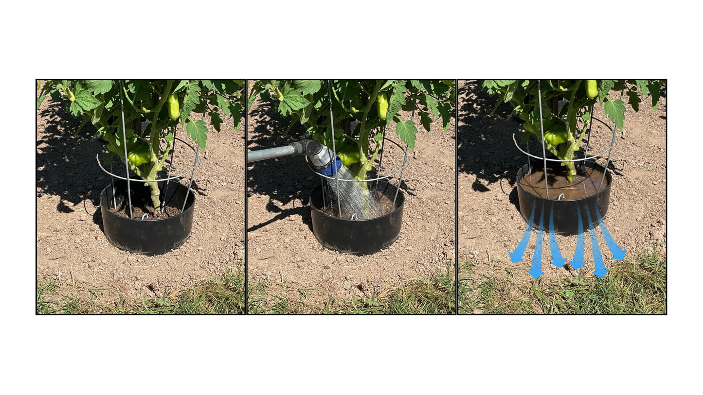 5 Pack Plant Rings for Outdoor Plants – Interlocking Planting Grow Rings | Garden Rings for Plants Support and Soil Moisture Retention – Grow Rings for Plants | Made in USA