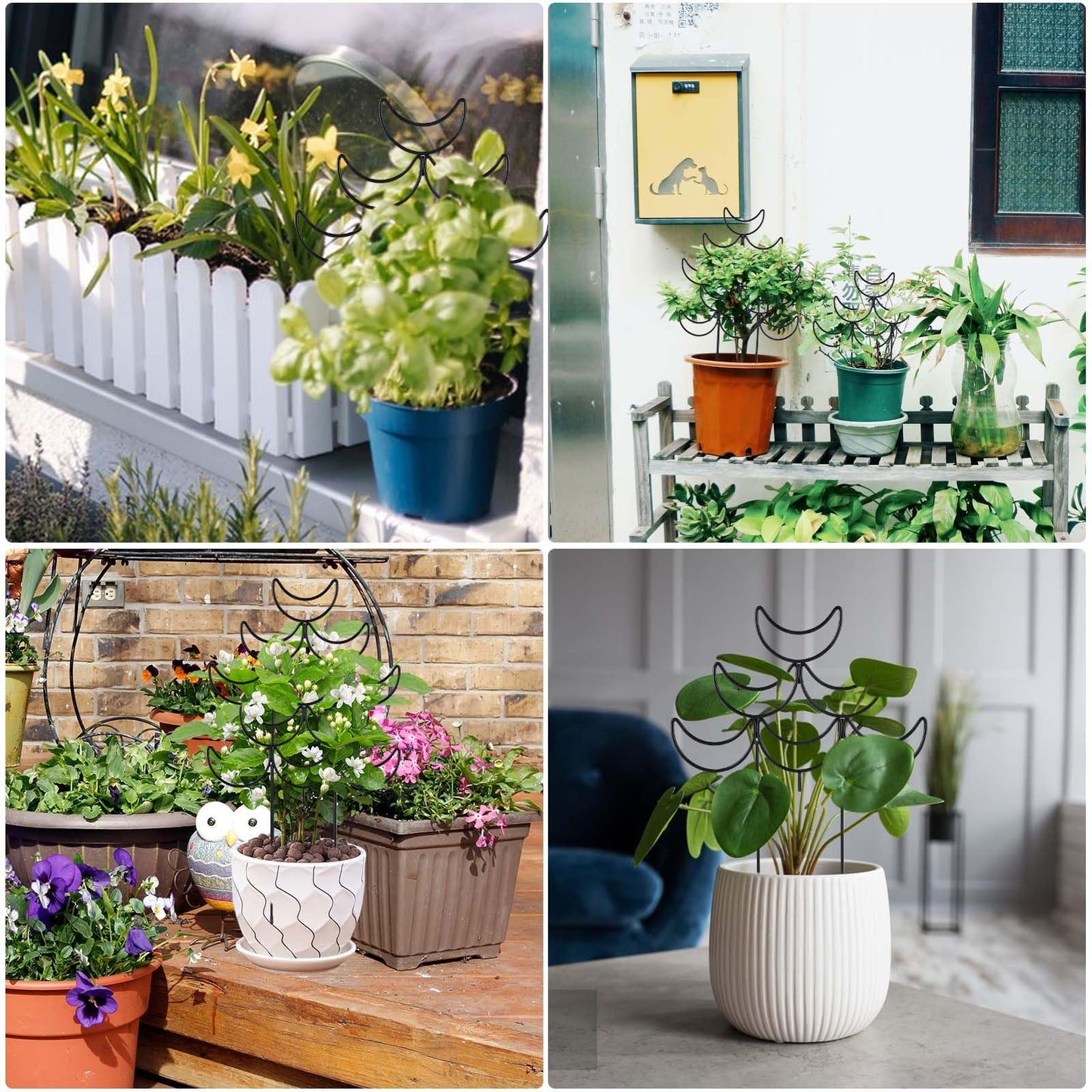 Yhtpouqe 4 Pack Metal Plant Trellis for Climbing Plants Outdoor/Indoor - Sturdy Garden Trellis for Potted Plants, Rustproof Plant Suppor Stakes for Vine Ivy Pothos Monstera Hoya Flowers
