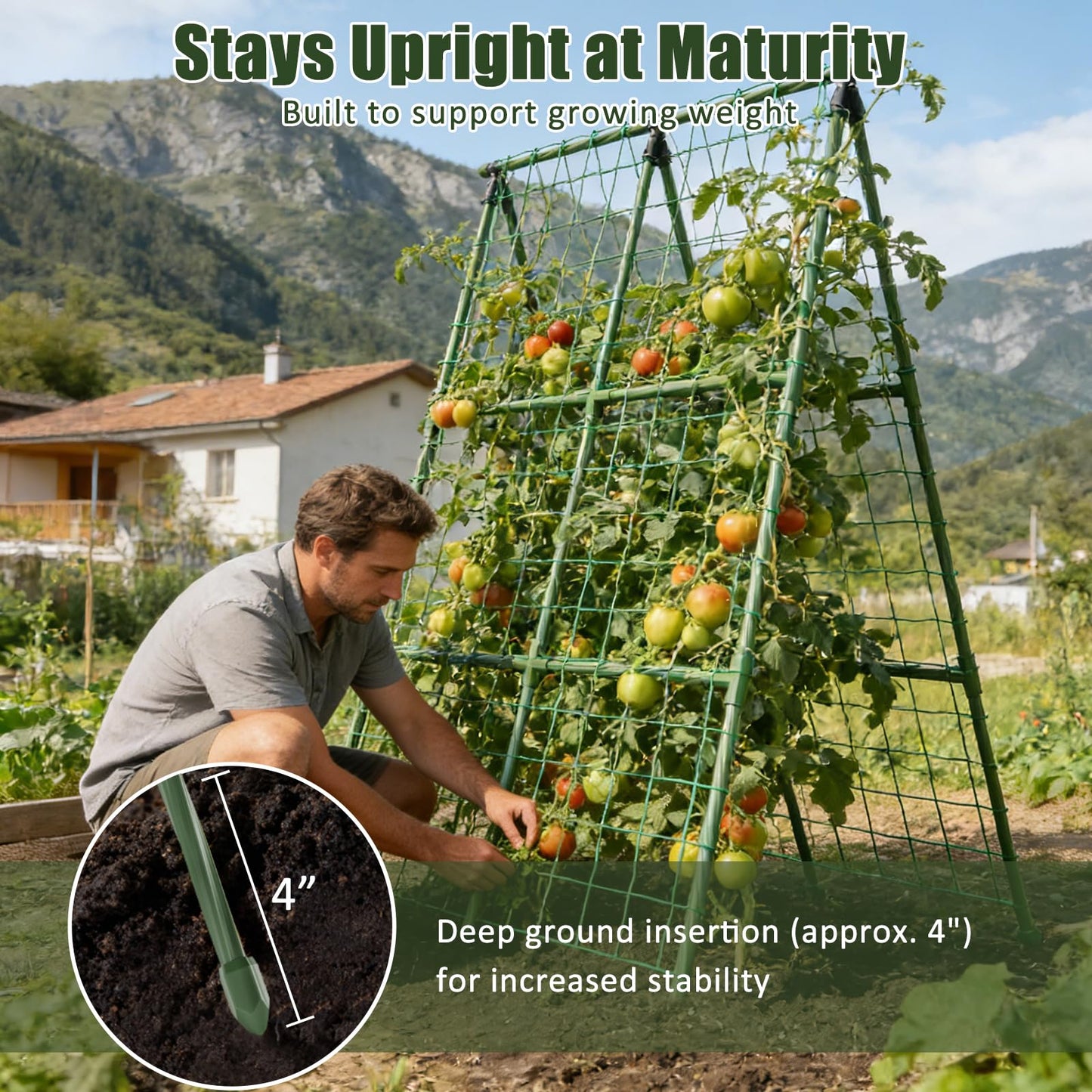 Miory Cucumber Trellis, 32"x48" 2 Pack A-Frame Trellis for Raised Bed, Garden Trellis for Climbing Plants Outdoor, Plant Support for Vegetables Vines
