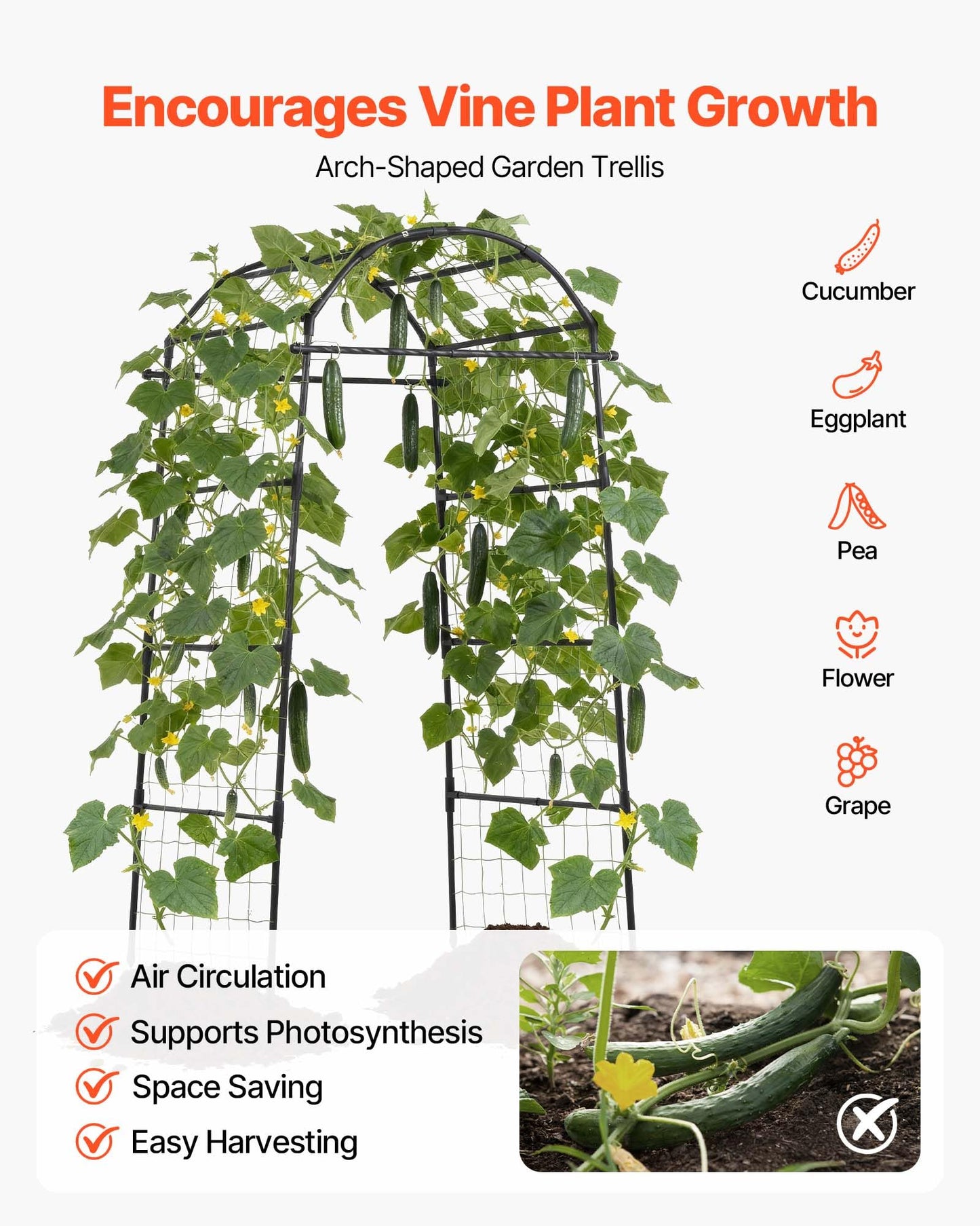 VEVOR Cucumber Trellis, 81 inch Tall Garden Arch Trellis, U-Shape Garden Trellises for Raised Bed, Metal Arch Outdoor Climbing Plants Support for Vine, Peas, Beans, Zucchini, Tomato, Squash, Flowers