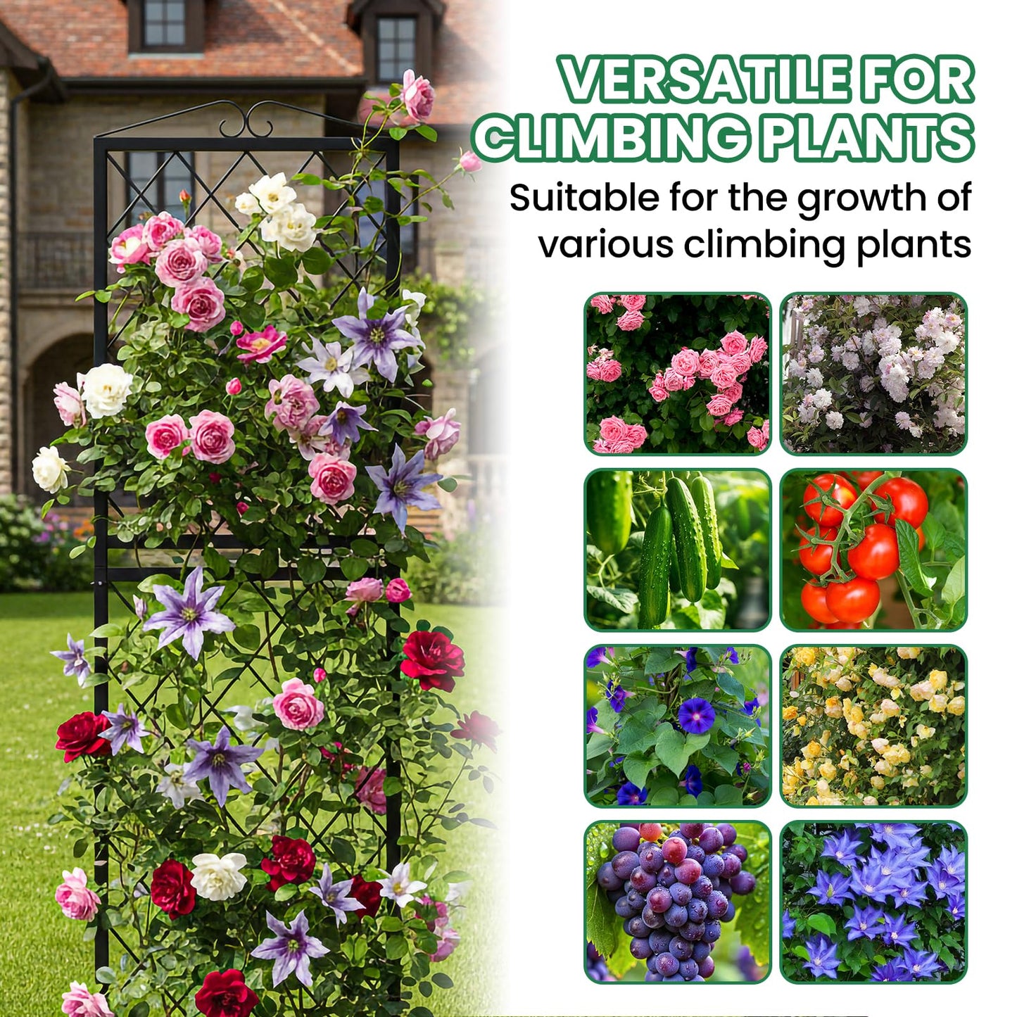 SUNYRISY 2Pack Metal Garden Trellis for Climbing Plants Outdoor, 71x20in Metal Plant Support for Flowers Tomato Cucumber Rose Vegetable Garden Courtyards Lawns Decoration