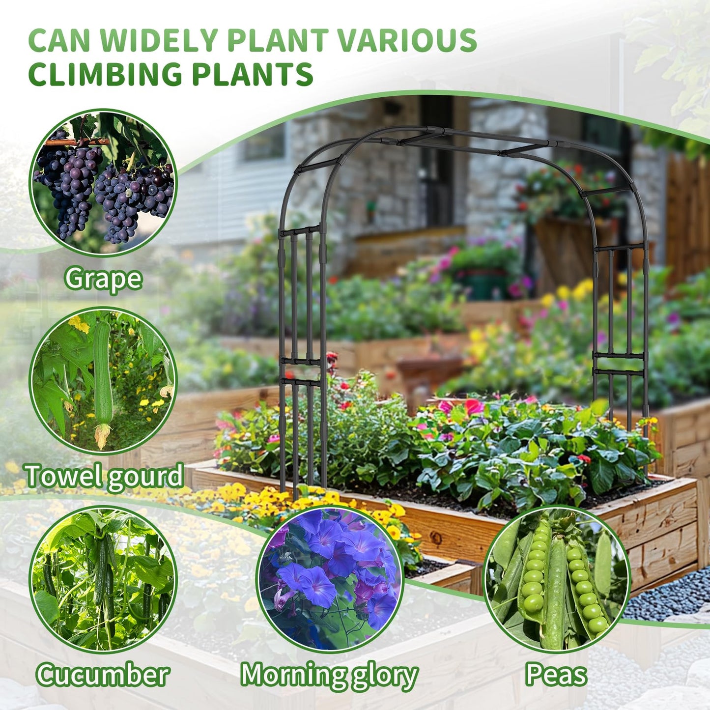 SUNYRISY Garden Arch Trellis for Climbing Plants Outdoor, 87" x 79" x 16" Metal Core Tall Archway Tunnel Plant Support for Cucumber Tomato Vine Flowers Vegetables Climbing Plants
