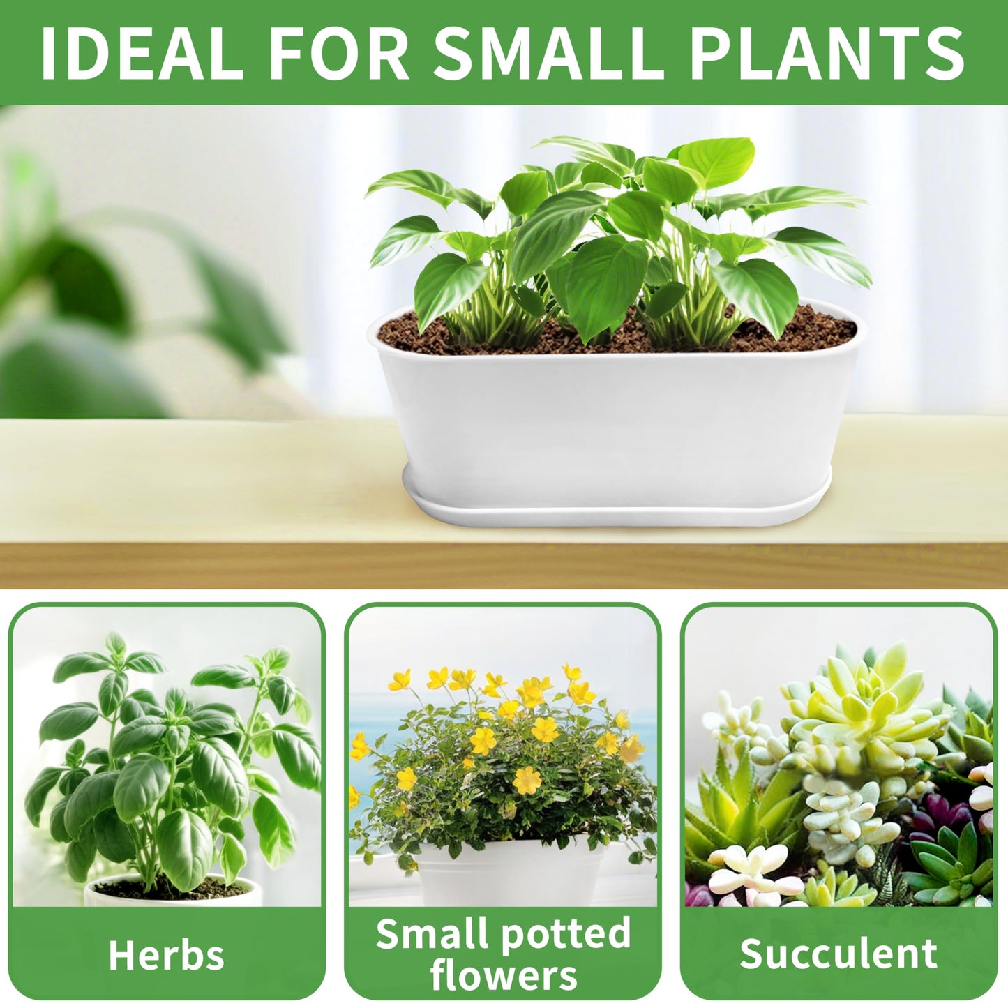 Torfican 5 Set Window Herb Planter Box Rectangular,8.5x3.5 Inch White Plastic Planters with Multiple Drainage Holes and Trays,Indoor Succulent Cactus Mint Flower Pot for Windowsill,Garden Balcony