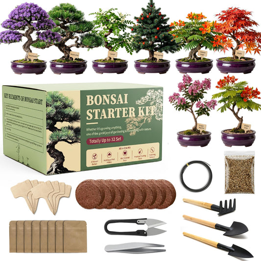 Bonsai Tree Starter Kit – 8 Varieties Indoor Bonsai Trees Plant Seeds with Drainage Design Pots, Gardening Gifts for Women, High-Value Plant Gifts