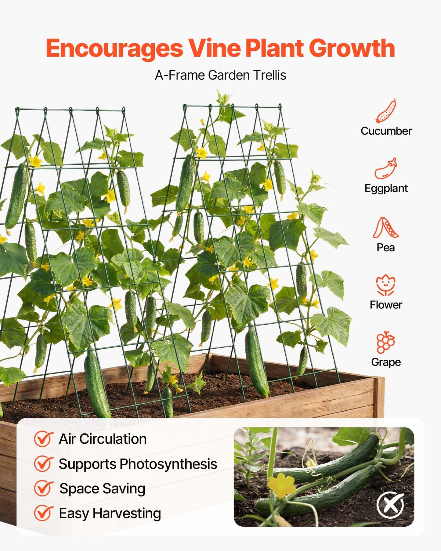 VEVOR Cucumber Trellis, No Assembly Required, 39" High 2 Pack Foldable A-Frame Garden Trellises for Raised Bed, Metal Rustproof Outdoor Climbing Plant Support for Vine, Peas, Beans, Tomato, Flowers