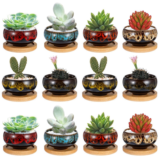 mekueeex 12 Pcs Ceramic Succulent Garden Pots Succulent Small Plant Cactus Planter Ceramic Pot with Drainage Hole and Bamboo Tray Matte Round Container (2.5 Inch)