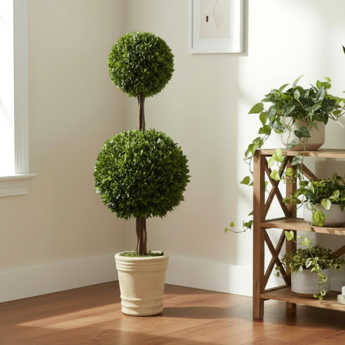 Shine Company Real Preserved Double-Ball Boxwood Topiary in Terracotta Pot (36" Tall/11 Wide)