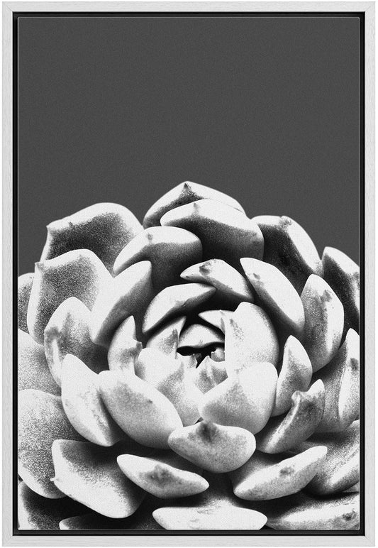 bestdeal depot Framed Canvas Print Wall Art Echeveria Succulent Closeup Floral Plants Photography Modern Art Farmhouse/Country Dark Black and White for Living Room, Bedroom, Office - 16"x24" White