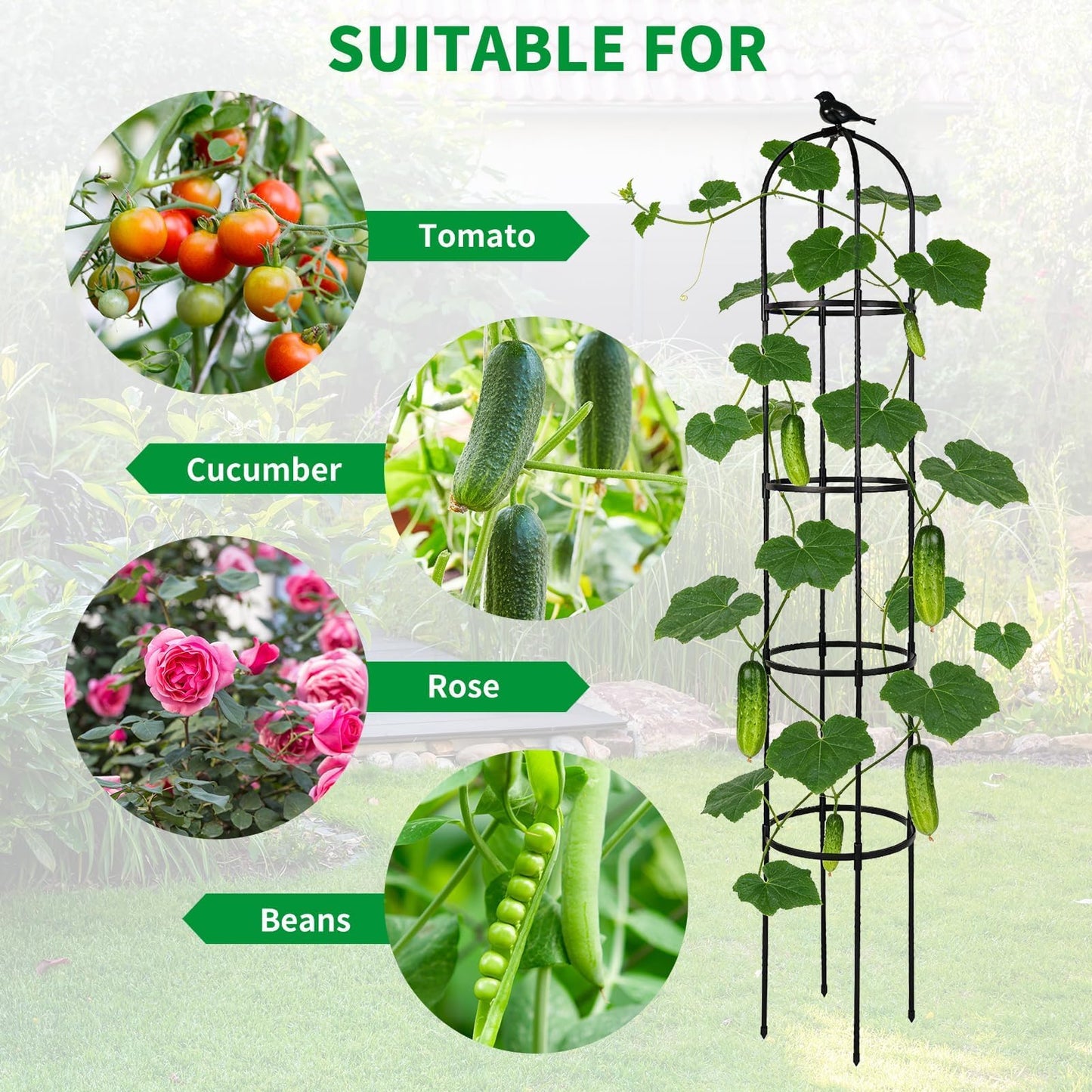 Garden Obelisk Trellis for Climbing Plants Outdoor, 6.3 ft Tall Trellis for Roses Clematis Jasmine Ivy Flower Light Climbing Vines Potted Plant Support, Patio, Yard, Black, 1PCS