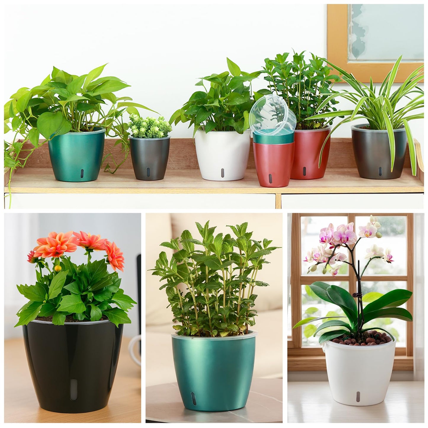 KvyusFlourish Self Watering Pots for Indoor Plants, 6-Pack 5'' Self Watering Planter with Drainage Holes, Small African Violet Pots with Water Indicator, Clear Wick Orchid Pot, Grey