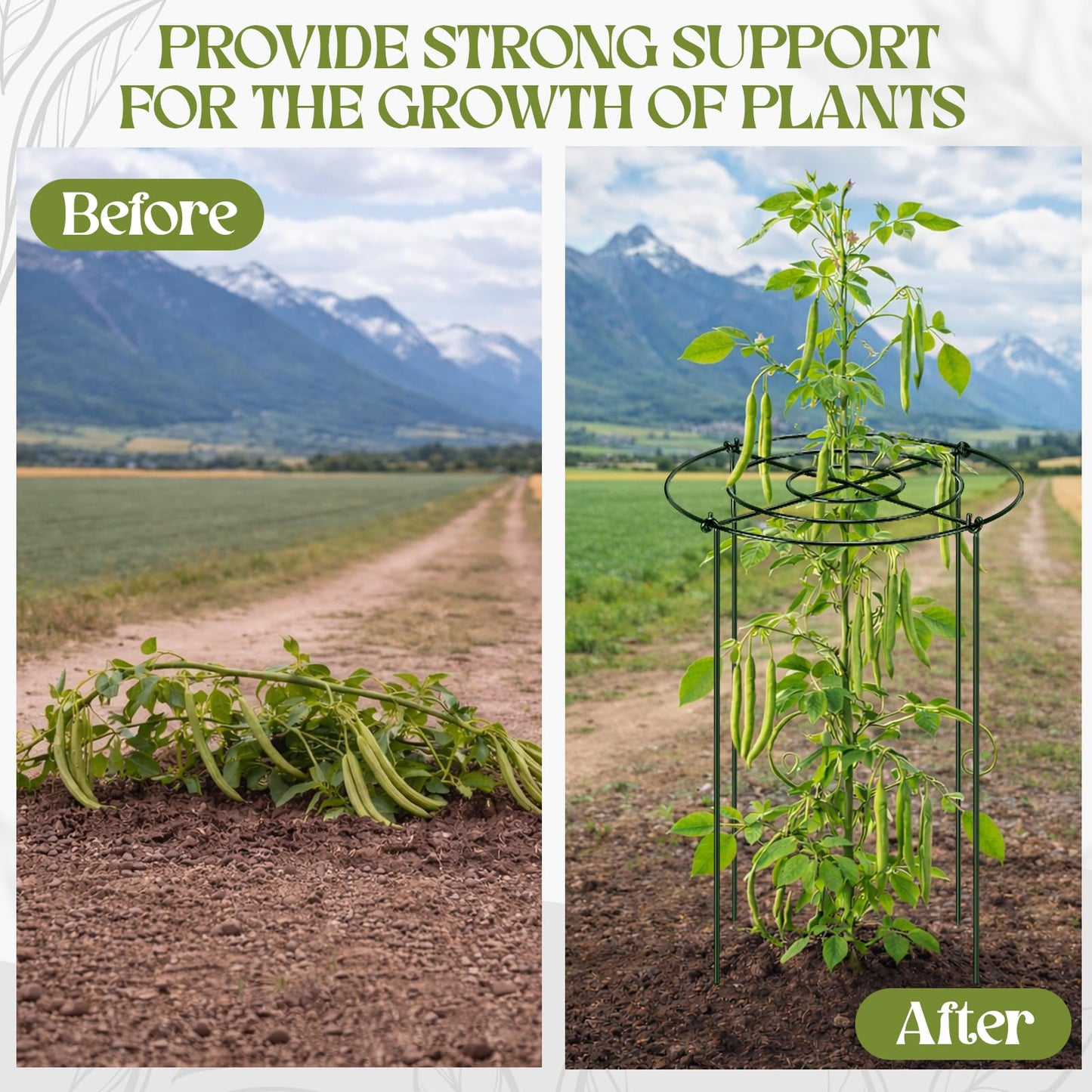 Geelin 24 Pack Peony Cages Bulk 12 x 16'' Peony Cage and Supports for Outdoor Plants Grow Through Heavy Duty Metal Plant Supports Frame Rings Hoops 4 Legs for Flowers Tomato Rose Hydrangea Strawberry