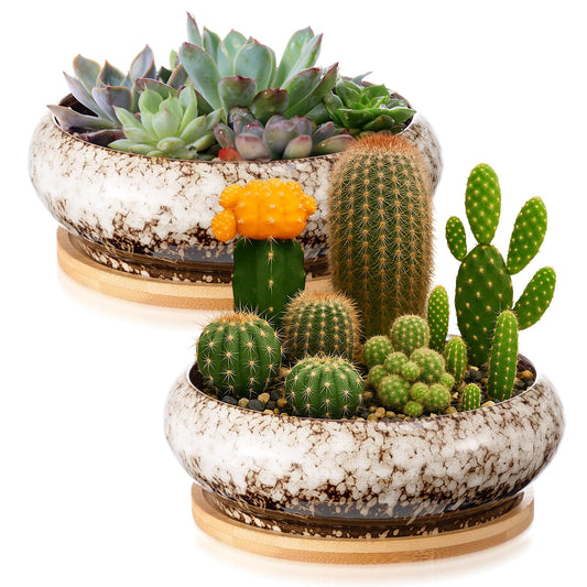 Acellegic 2 Pcs 7.3'' Round Large Shallow Succulent Ceramic Planter Pots with Drainage Hole Drip Glazed Shallow Bonsai Pot with Bamboo Tray for Indoor Outdoor Decor Cactus Flower (White)