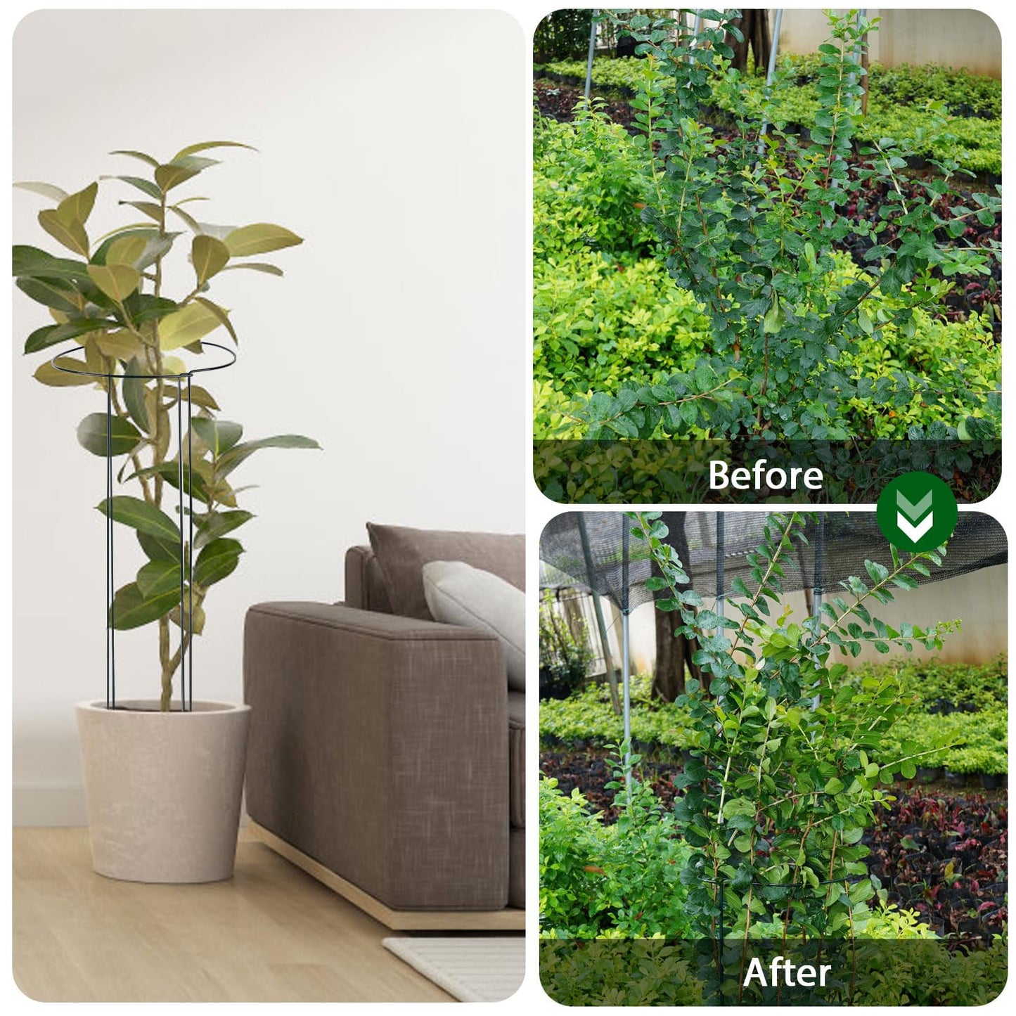 32 inch Plant Support Stakes, 10 Pack Half Round Metal Garden Plant Stake Heavy-Duty Plant Support Ring and Cage with Plant Clip & Twist Tie for Indoor and Outdoor Plants, Vegetable, Flowers