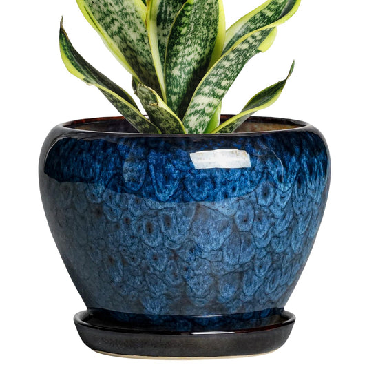 Thirtypot 6 Inch Plant Pot - Ceramic Pots for Plants with Drainage Hole and Saucer, Round Succulent Planter Indoor Outdoor, Modern Flower Pot for Snake Plants, Home Decor, Gifts for Plant Lover, Blue