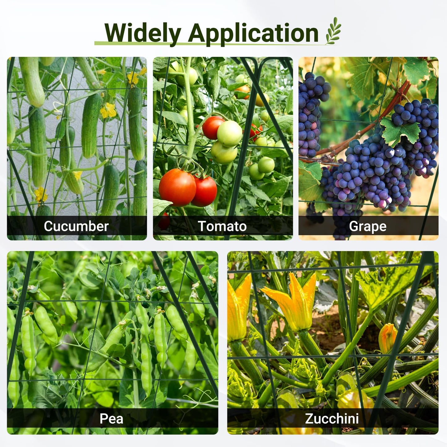 Toriexon Cucumber Trellis for Garden - 4 Pack, 48" L x 24" W Garden Trellis for Climbing Plants Outdoor with Support Structures, A Frame Trellis for Climbing Vegetables Peas, Vine, Bean
