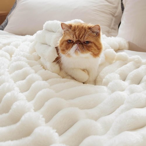 Bedsure White Throw Blanket - Fluffy 350GSM Cozy Fleece for Women | Cute 50x60 Inches Plush Design