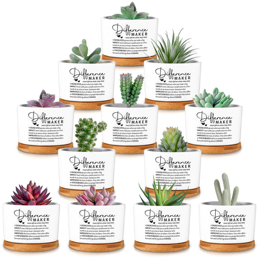 SEEWEY 12 Pcs Difference Maker Employee Appreciation Gifts Succulent Pots Bulk Inspirational for Coworker Team Small Ceramic Plant Pots with Bamboo Trays for Office Staff Women Men