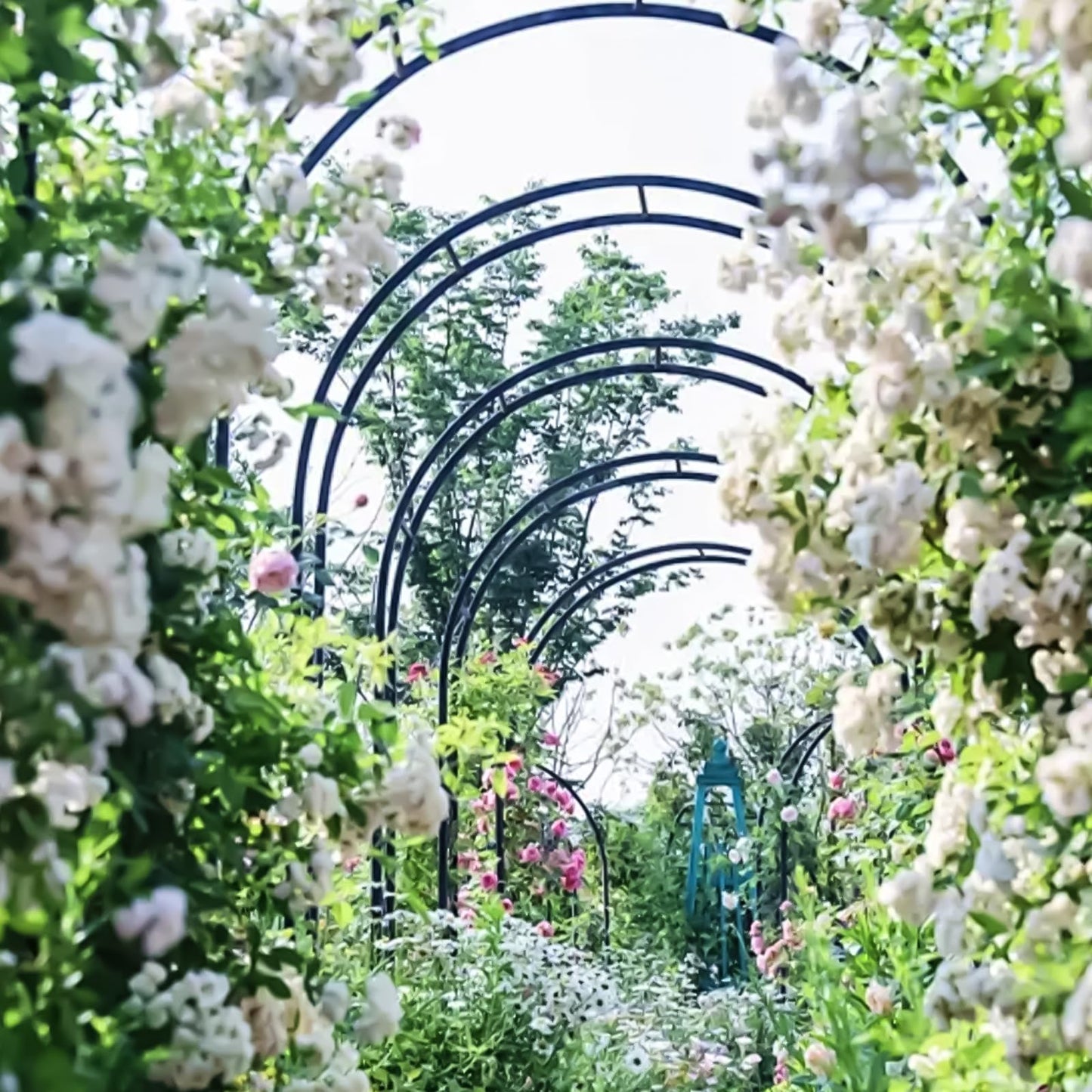 Metal Wide Garden Arch Trellis for Climbing Plants Roses Vines,47" W x 86" H Wide Garden Archway Arbor Trellis for Lawn Wedding and Bridal Party Decoration