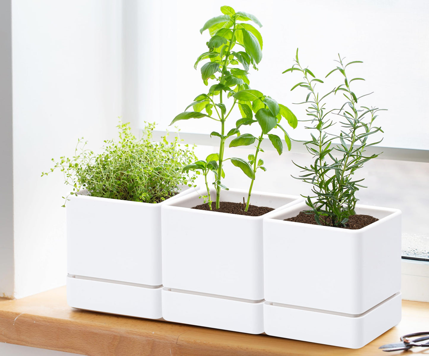 D'vine Dev 4 Inch Herb Planter Pot, Plastic Planter with Drainage Holes and Saucer, Modern Decorative Gardening Pot for Indoor Plants, Flowers, Herbs, Succulents, White, Set of 3, 76-Y-A3-1