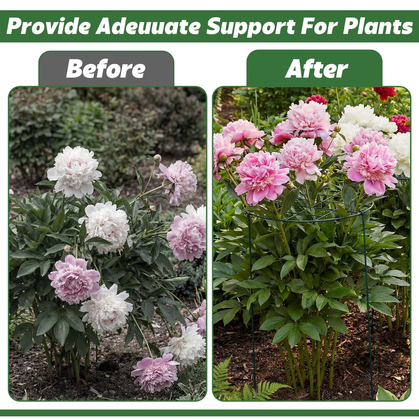 Sunnychicc 4 Pack Round Peony Cages and Supports 12 x 16 Inches (D x H) Grow Through Grid Plant Brace Plant Support Stake Heavy Duty Metal Flower Support Rings for Rose Tomato Hydrangea Strawberry
