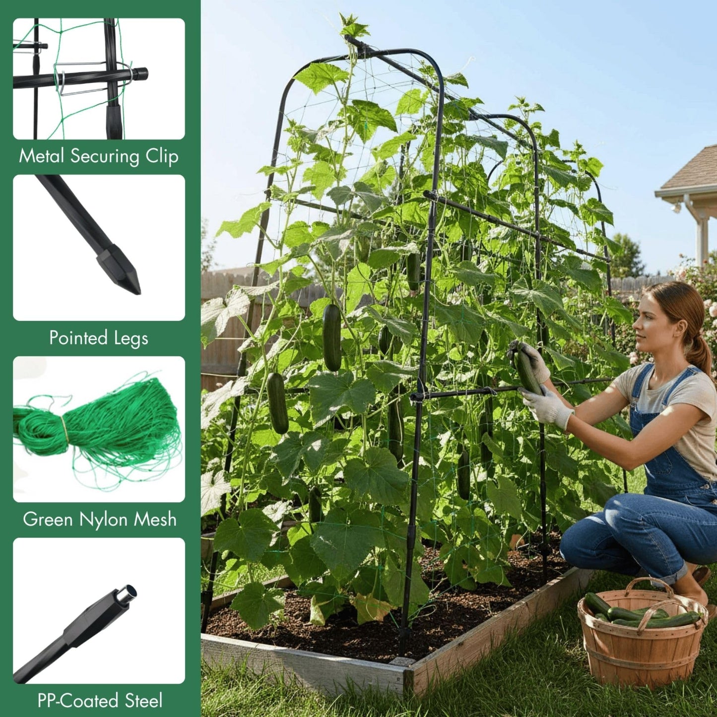 BAXAM ﻿Cucumber Trellis Arch 5.3FT Black PP Coated Stainless Steel Garden Arch Trellis for Climbing Plants Outdoor, Garden Vegetable Trellis for Climbing Plants with Netting