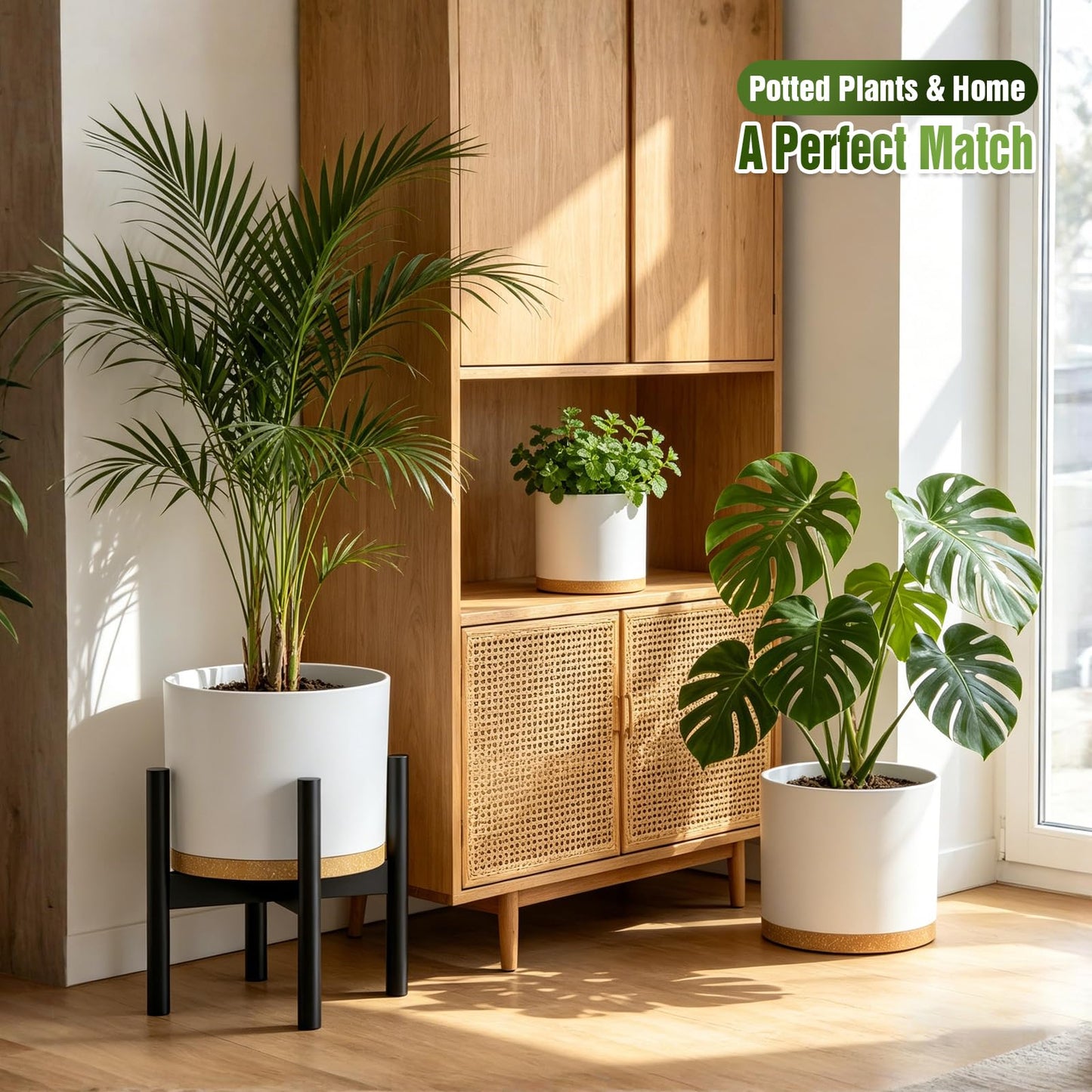 Areutxbis 10/9/8 Inch Large Plant Pots with Drainage Holes and Trays, 3 Pack Modern Minimalist Cylinder Planters for Monstera, Snake Plant, Indoor Outdoor (Matte White & Brown)