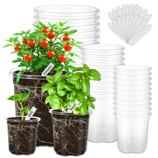 WandaQueen 30 Packs 6.5/5/4 Inch Reinforced Clear Nursery Pots for Plants with Drainage Hole, Variety Pack High Transparency Plastic Seedling Plant Pot with 20 Labels