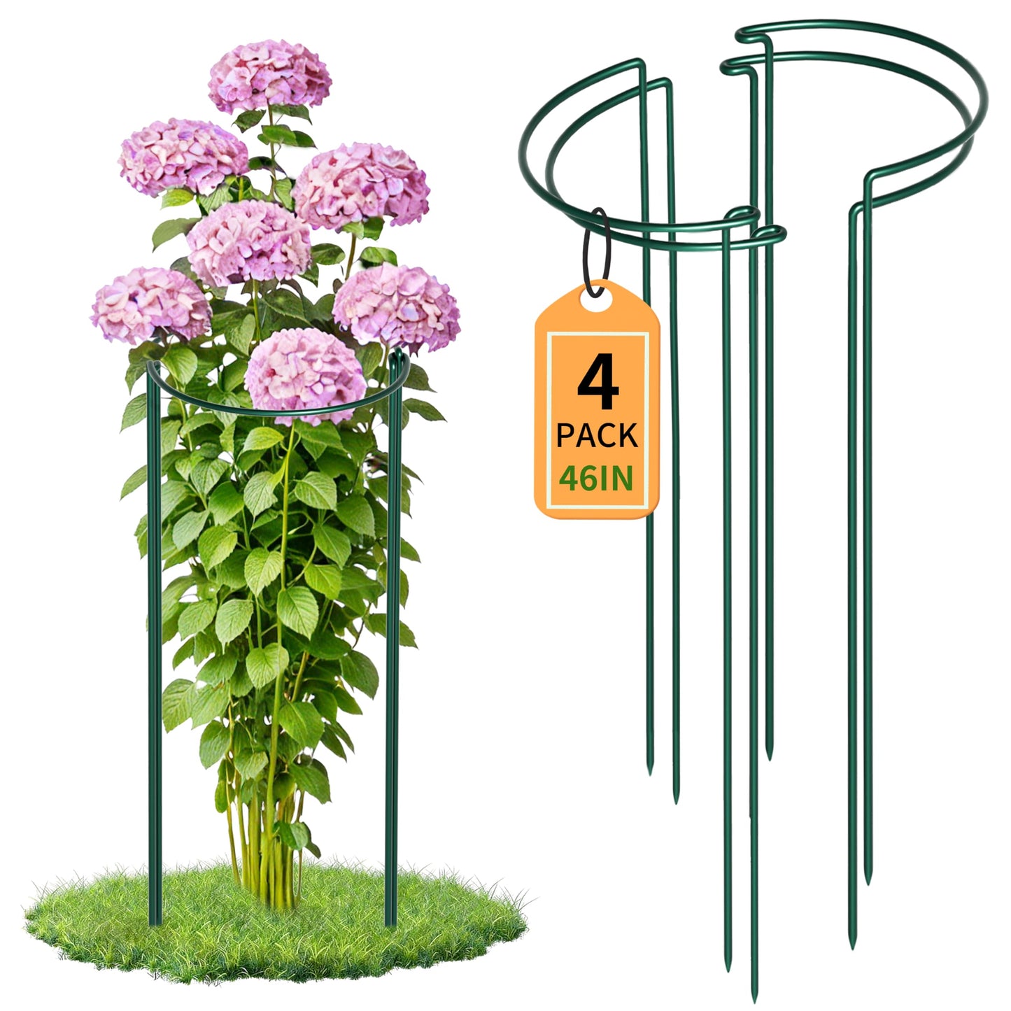 TCBWFY 4 PCS Plant Supports 16" Dx46 H Peony Cages and Supports,6mm Thick Metal Wire Heavy-Duty Garden Stakes for Indoor & Outdoor Plants,Ideal for Peony,Tomato,Hydrangea,Rose